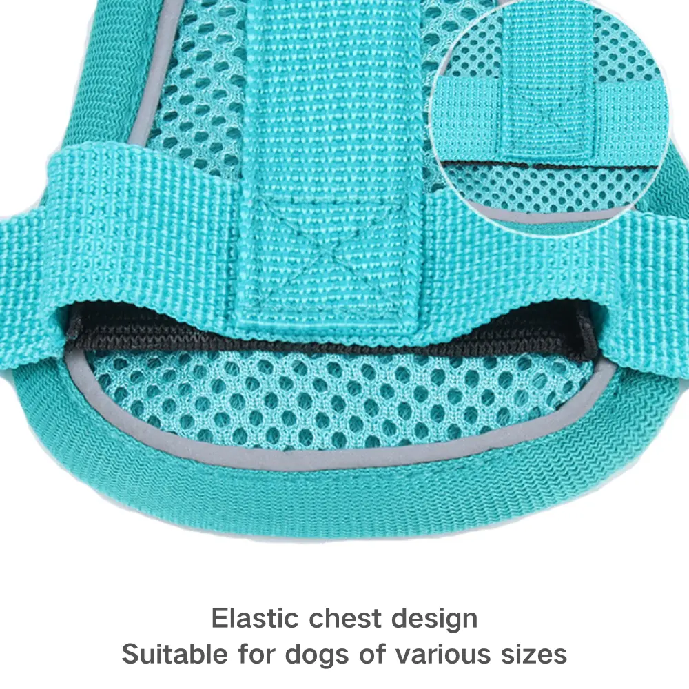 Pet harness for small dogs (13)