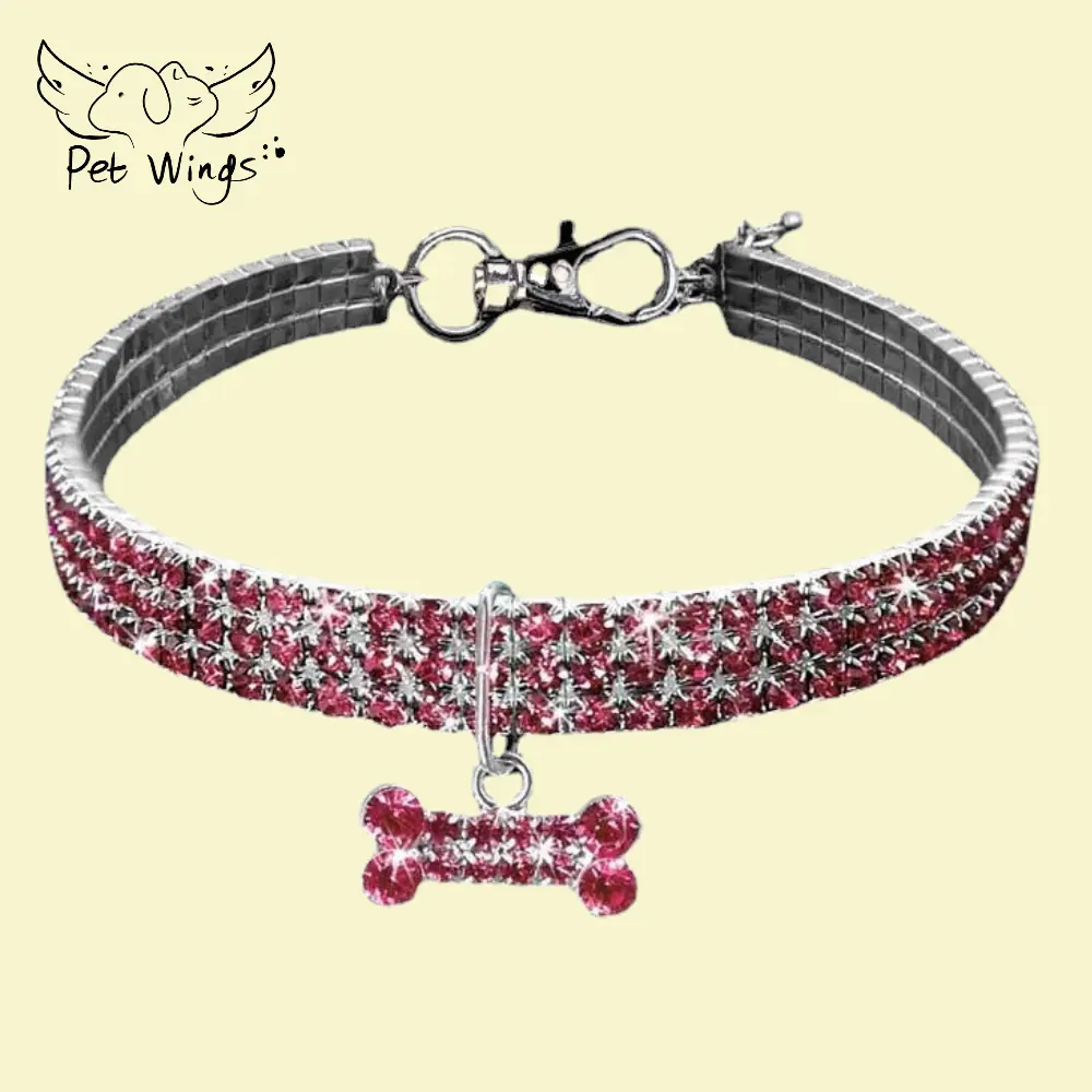 crystal pet collar (4)